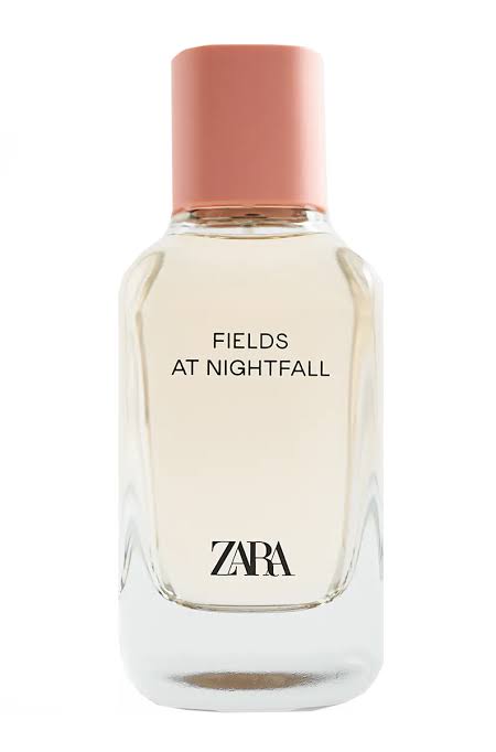 ZARA FIELDS AT NIGHTFALL